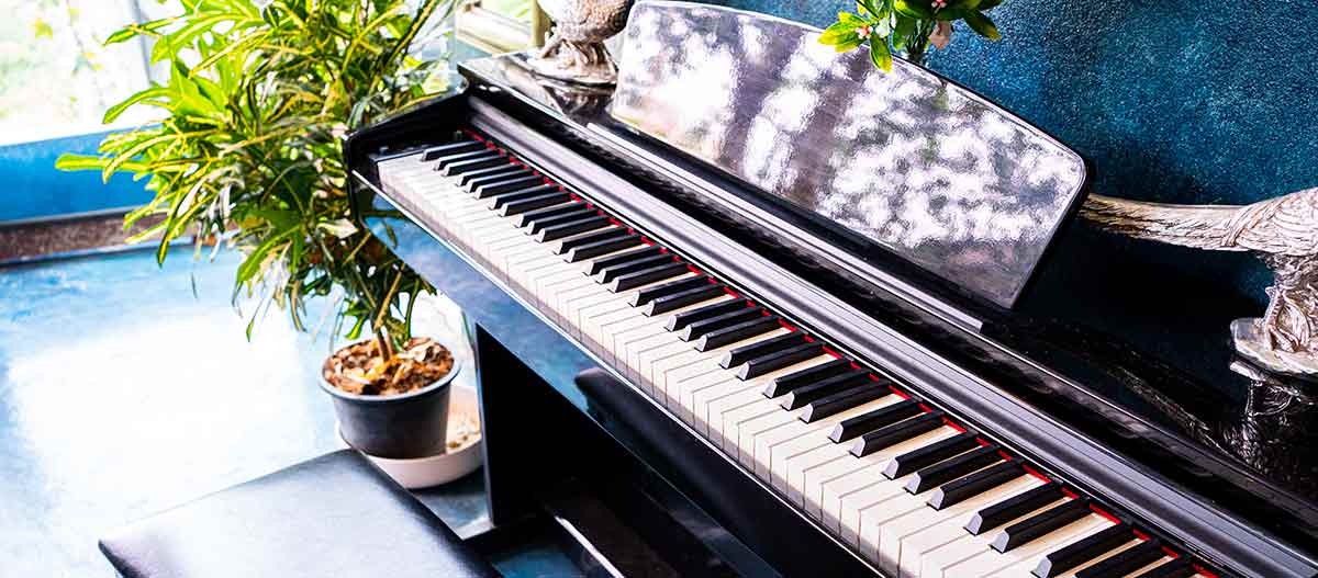 Piano in the living room with plants and vase