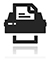 Print-Icon