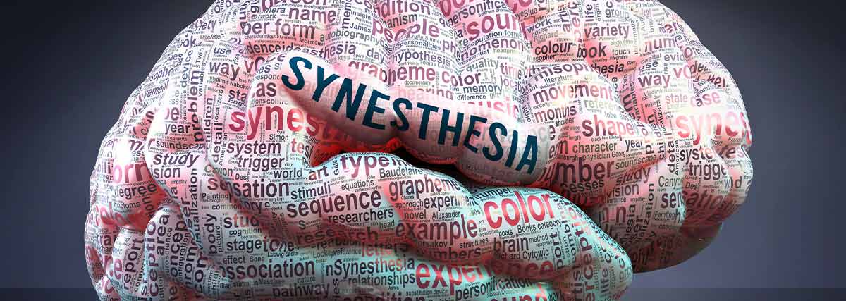Synesthesia written on human brain